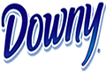 downy-seeklogo1.4